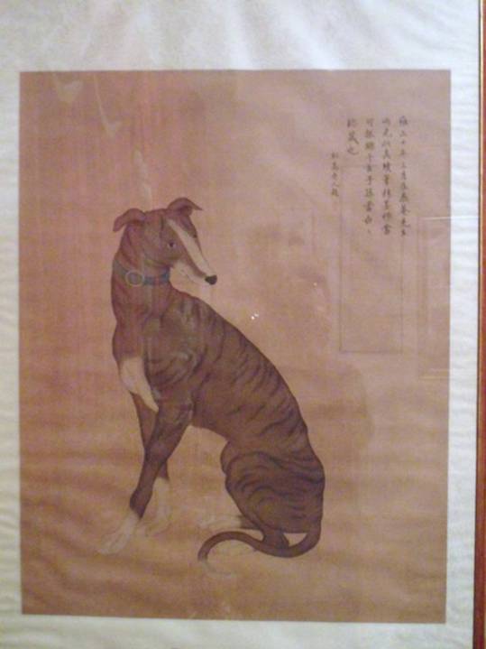 201120101706.jpg